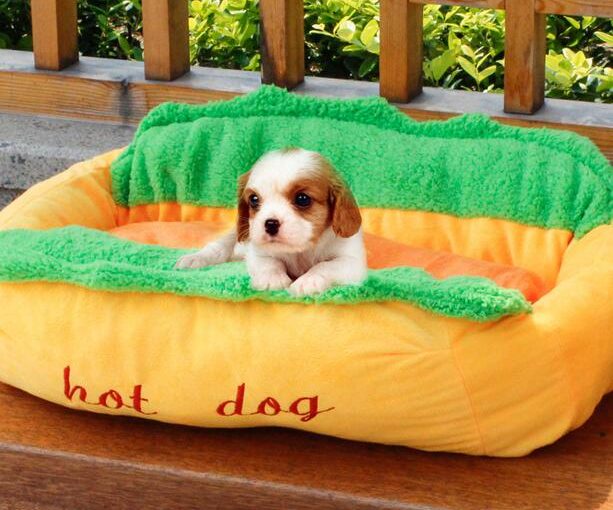 Read more about the article Hot dog pet bed
